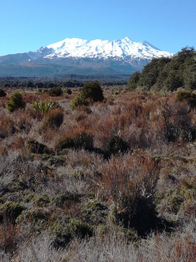 Slalom Lodge Raurimu 外观 照片